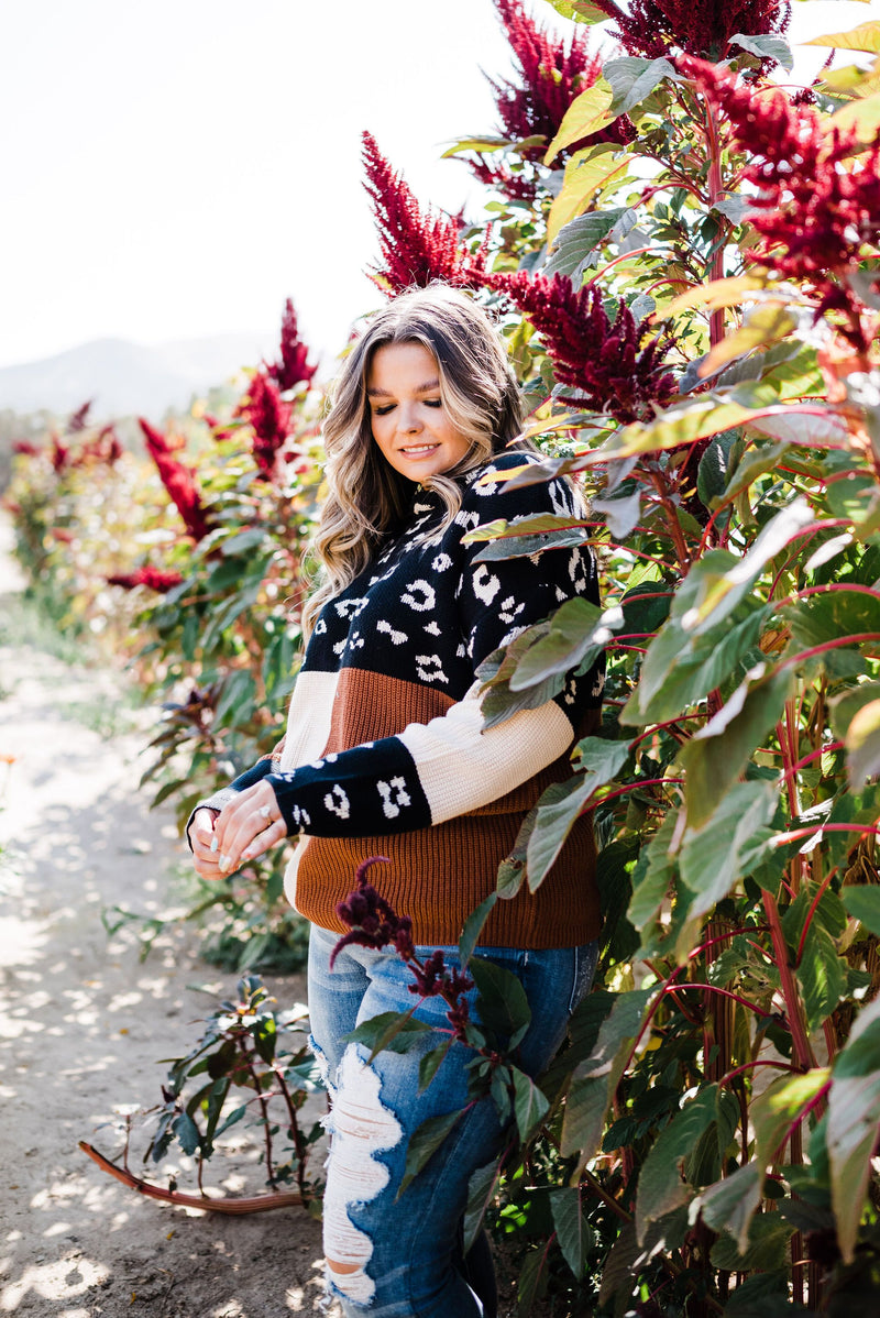 Pop Of Print Contrast Sweater