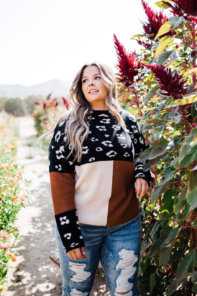 Pop Of Print Contrast Sweater