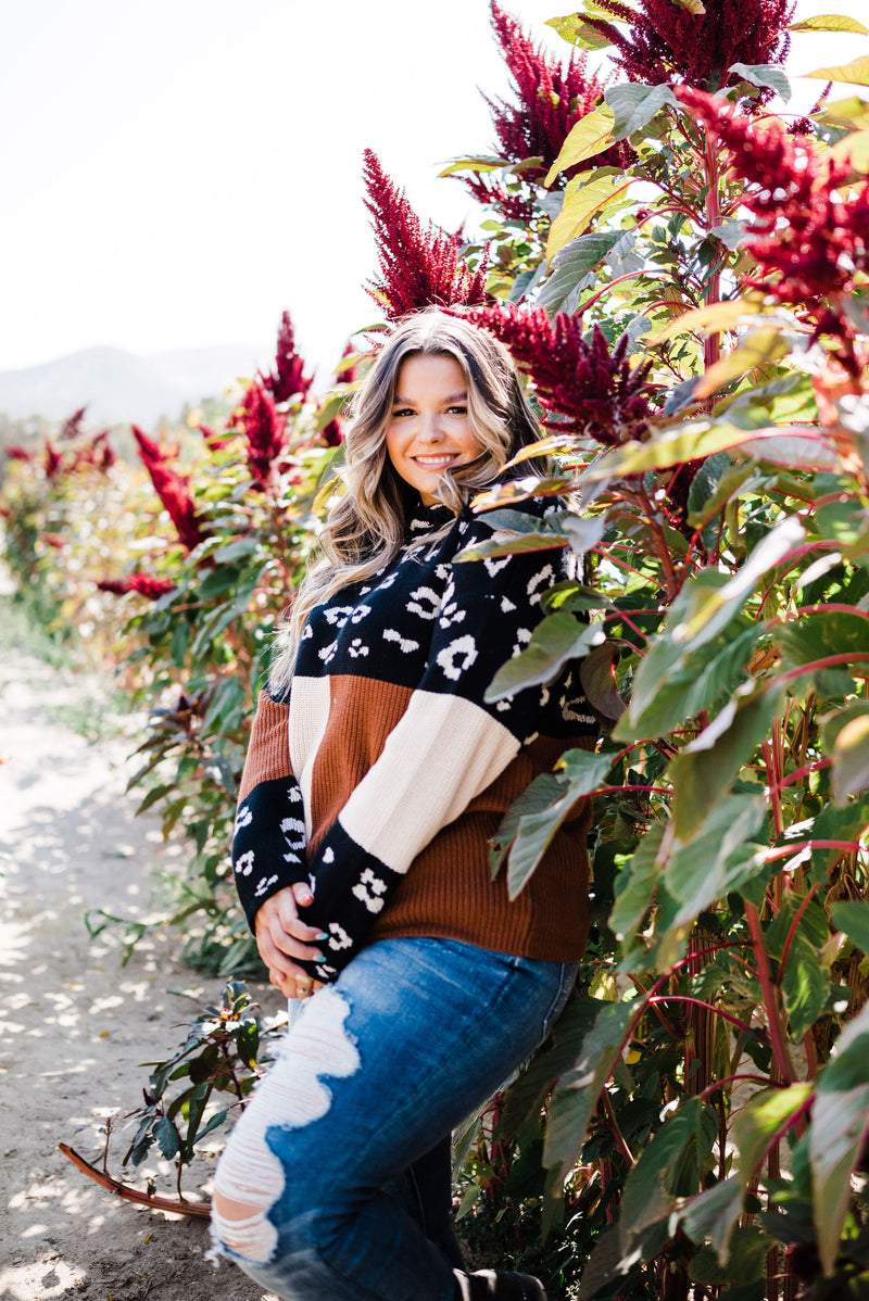 Pop Of Print Contrast Sweater