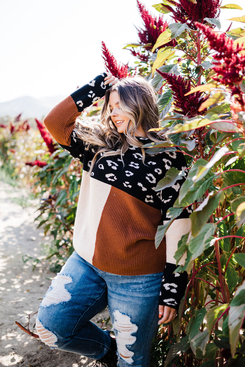 Pop Of Print Contrast Sweater