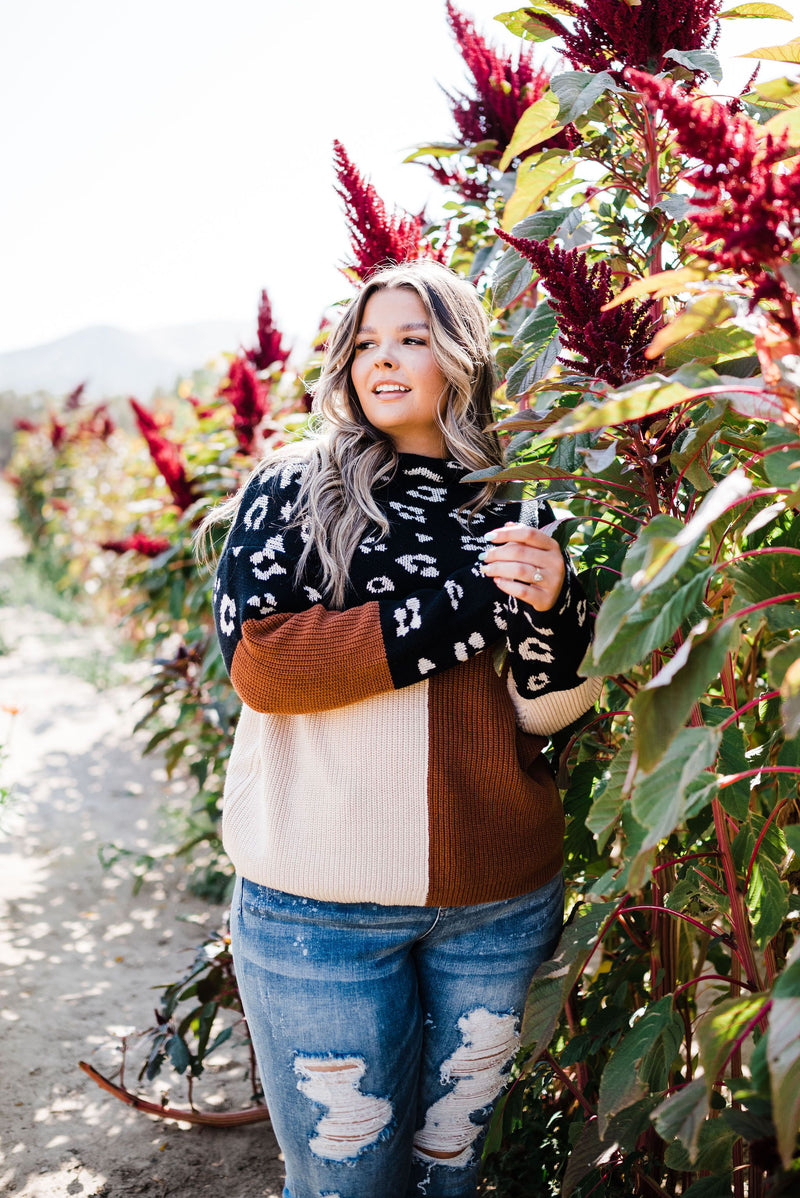 Pop Of Print Contrast Sweater