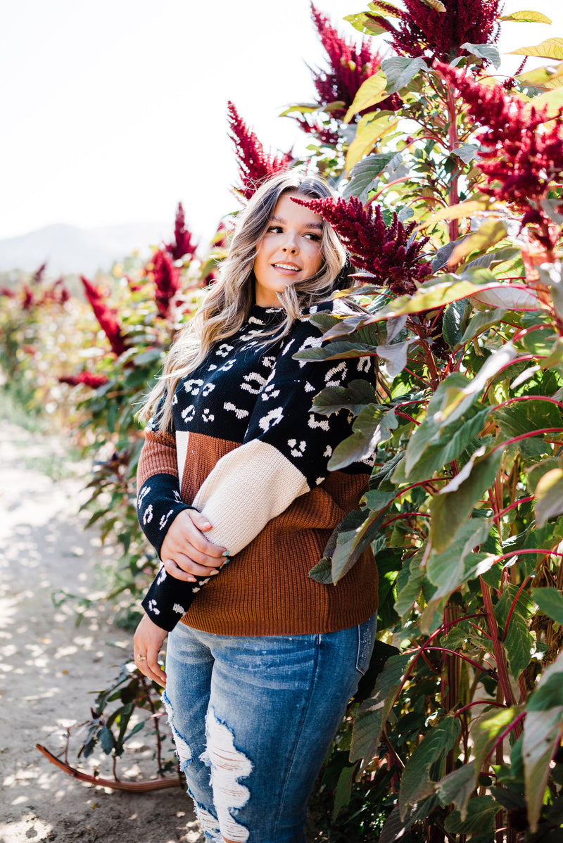 Pop Of Print Contrast Sweater