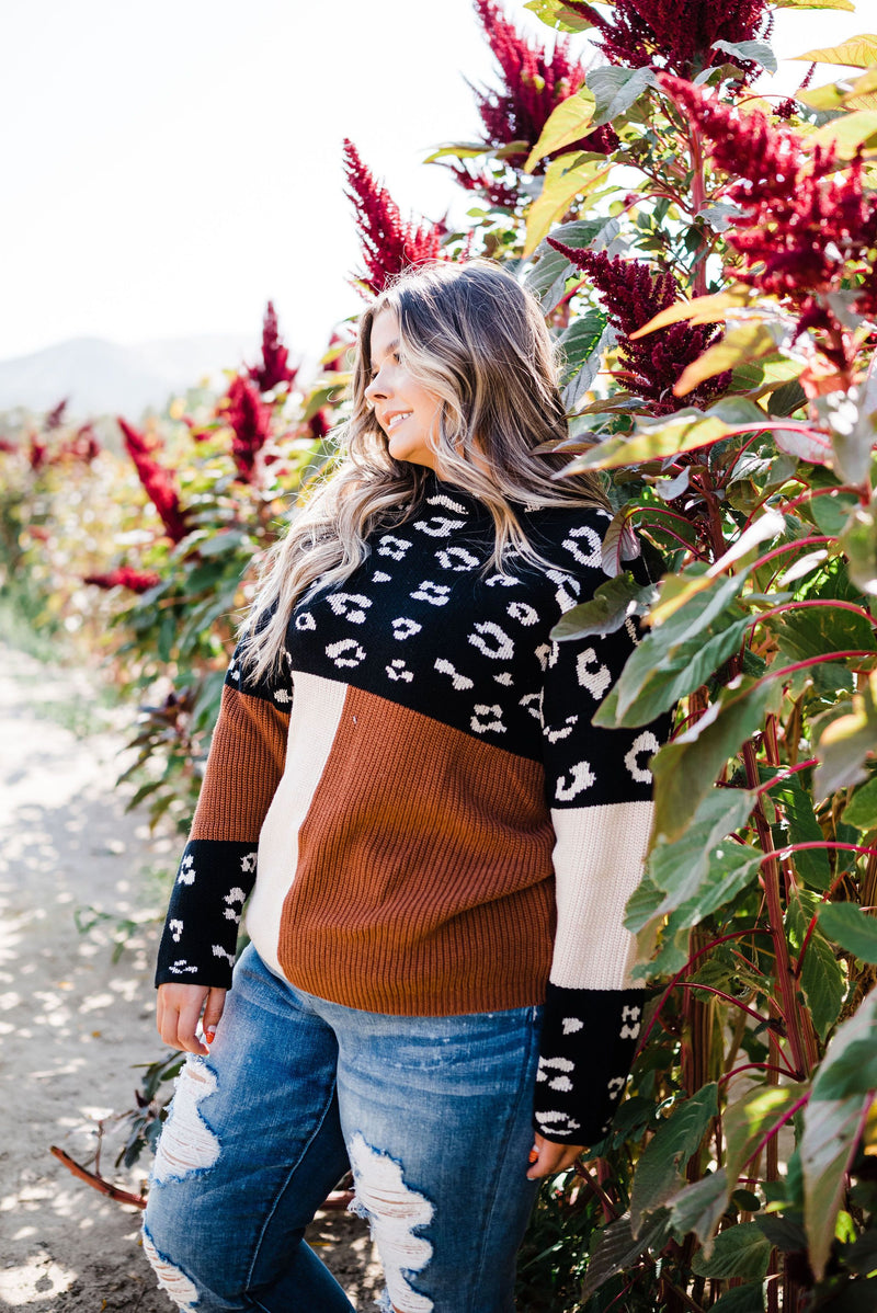 Pop Of Print Contrast Sweater