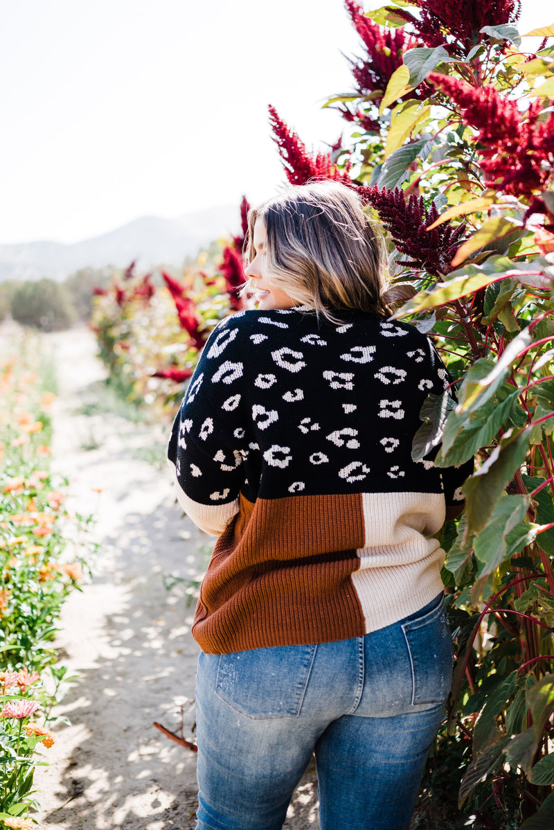Pop Of Print Contrast Sweater