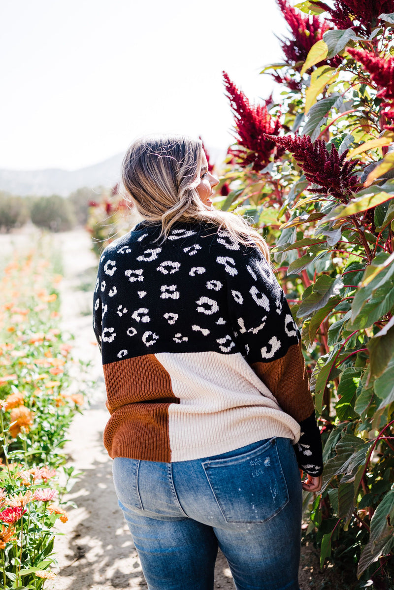 Pop Of Print Contrast Sweater