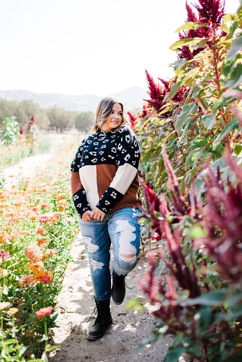 Pop Of Print Contrast Sweater