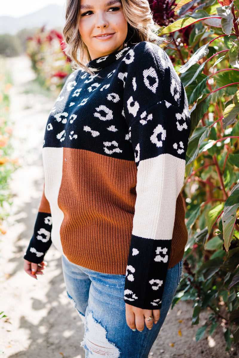 Pop Of Print Contrast Sweater