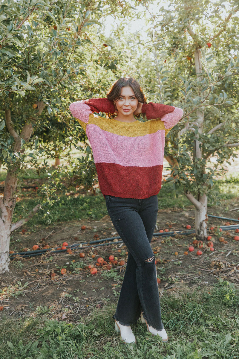 Take Chances Color Block Sweater