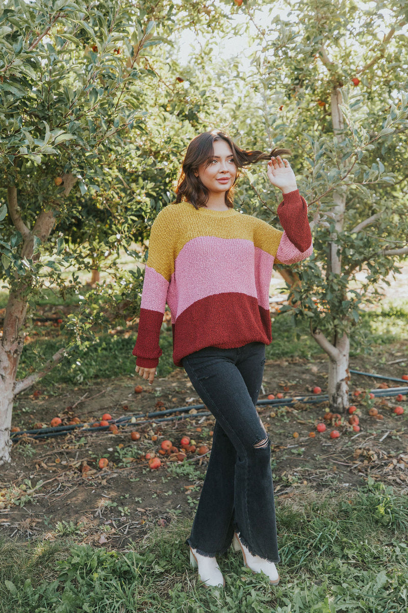 Take Chances Color Block Sweater