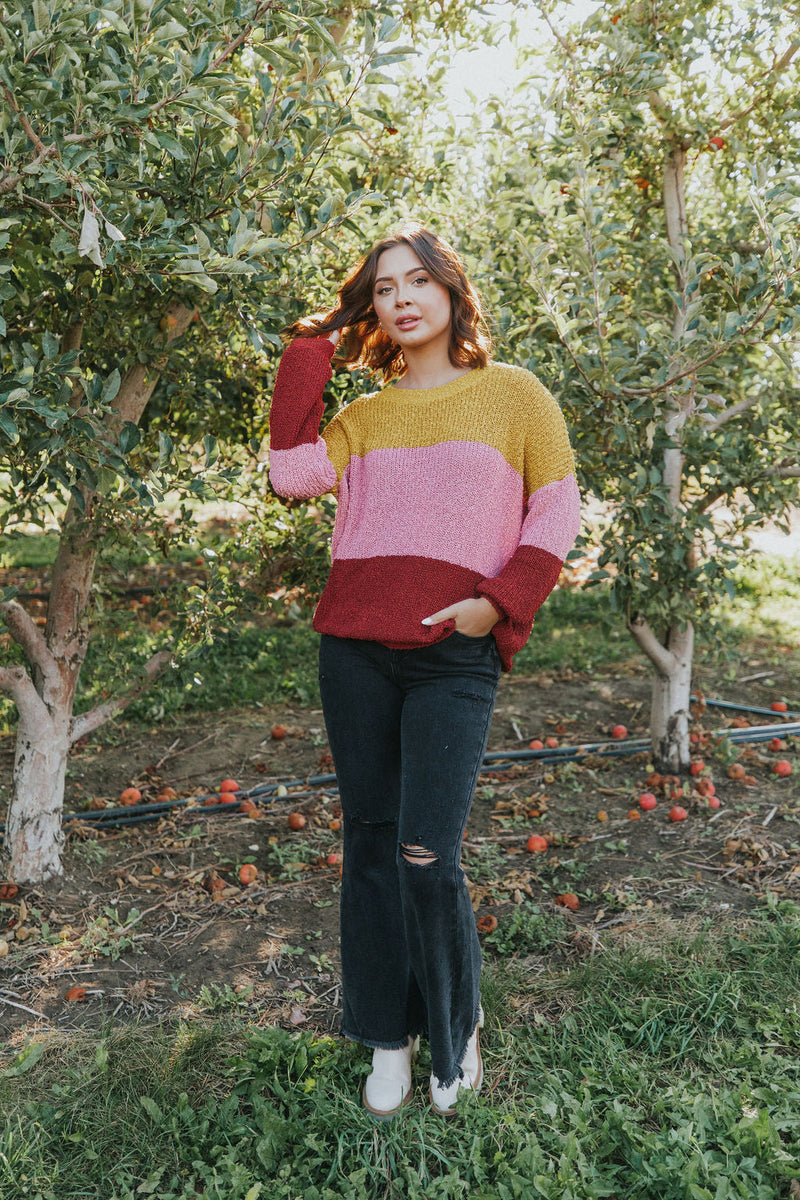 Take Chances Color Block Sweater