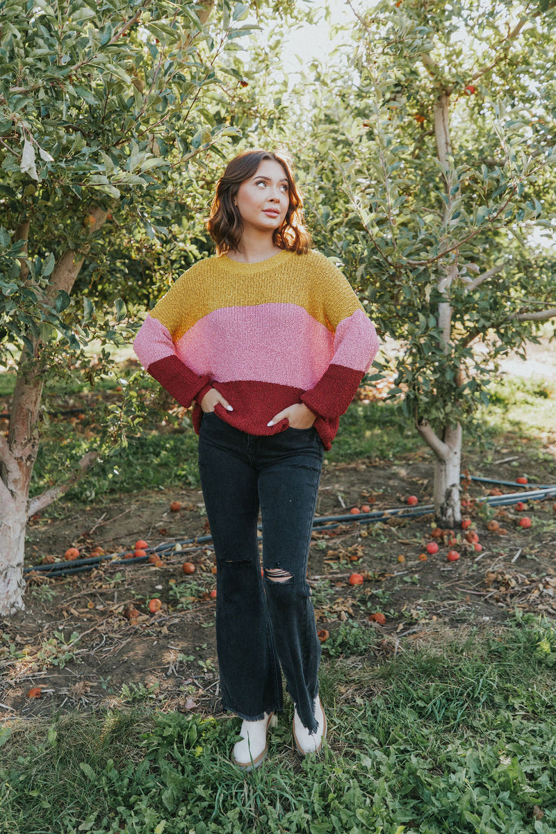 Take Chances Color Block Sweater