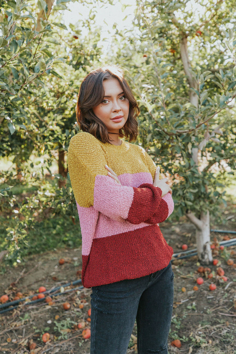 Take Chances Color Block Sweater