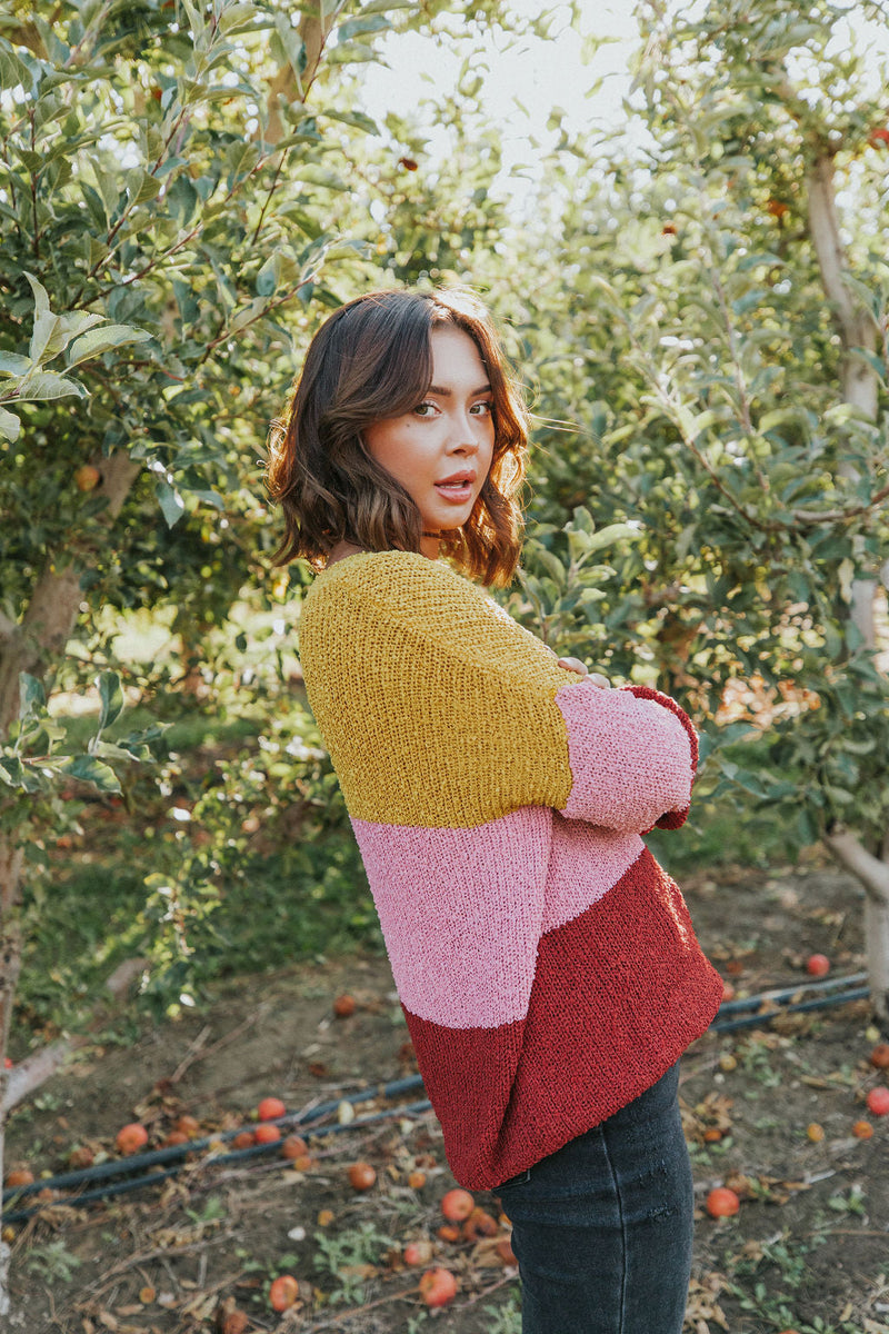 Take Chances Color Block Sweater