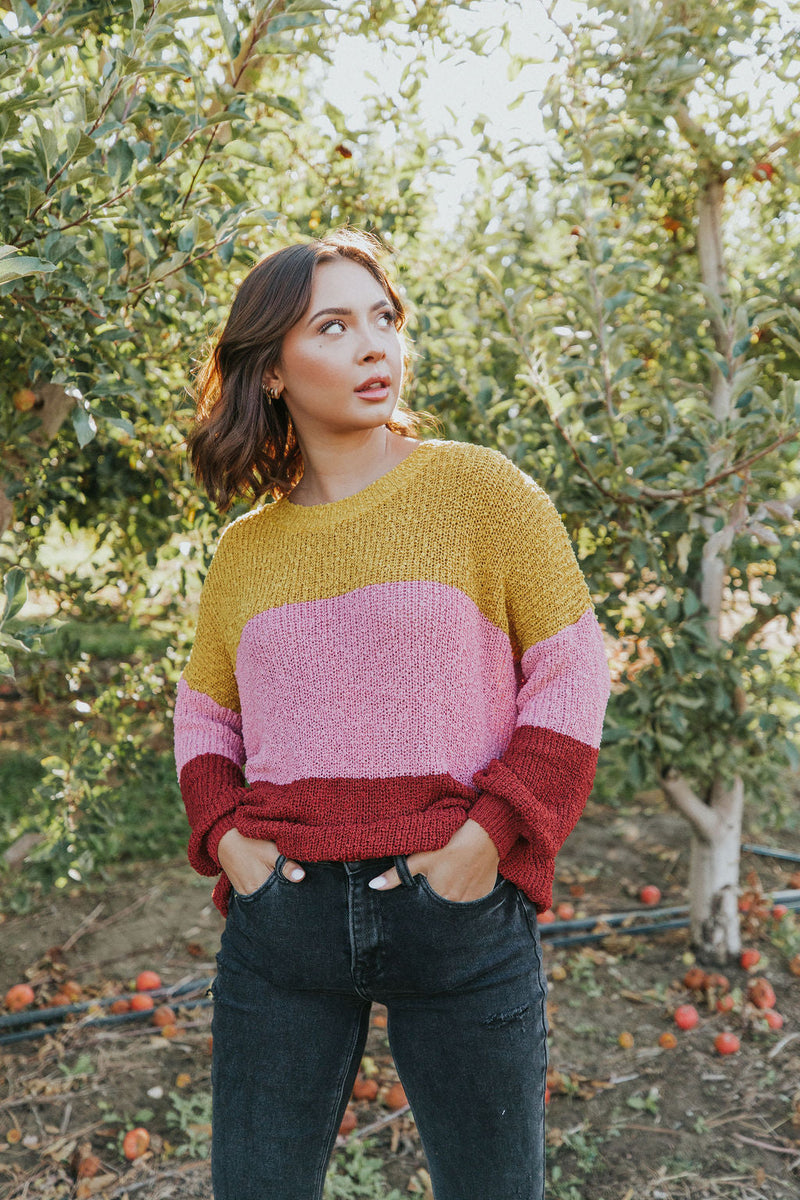 Take Chances Color Block Sweater