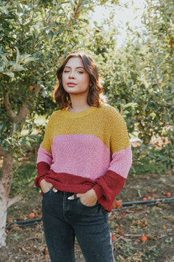 Take Chances Color Block Sweater
