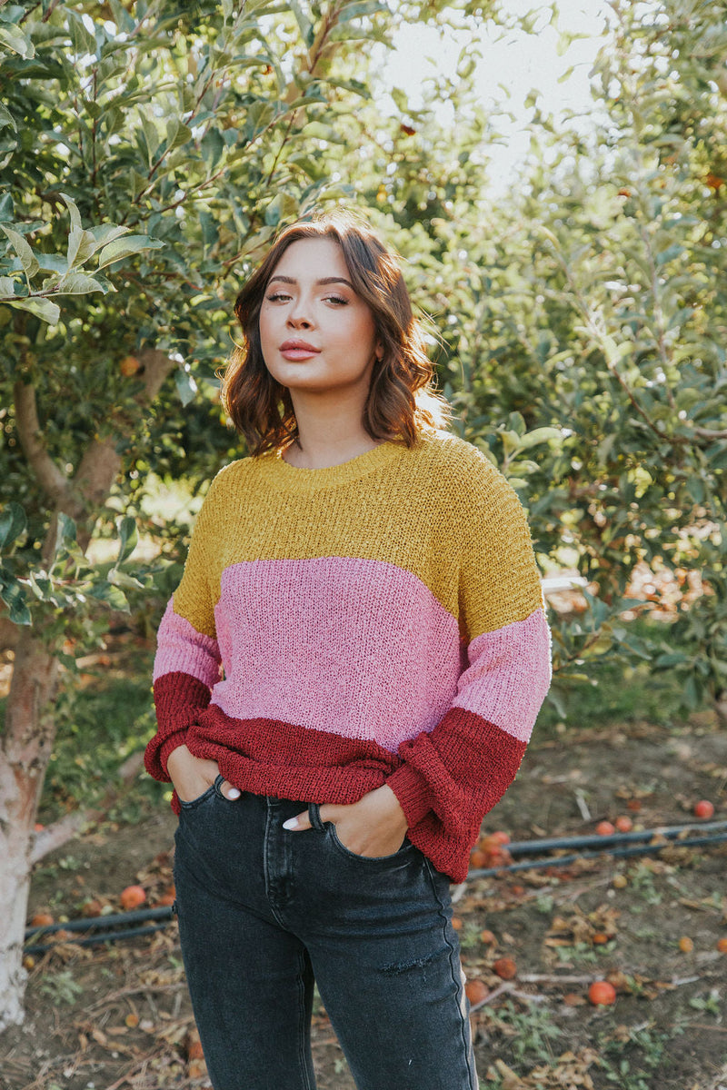 Take Chances Color Block Sweater