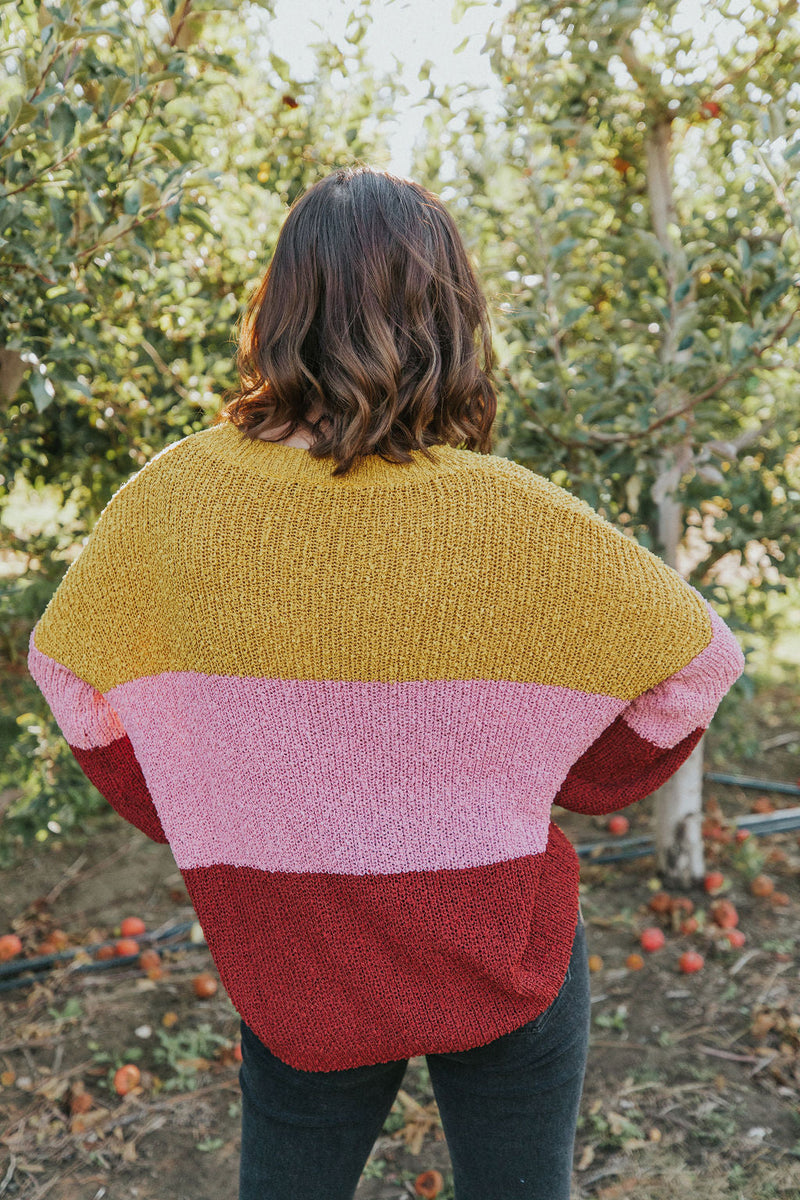 Take Chances Color Block Sweater