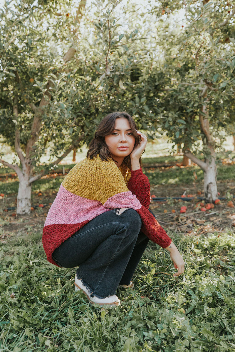 Take Chances Color Block Sweater