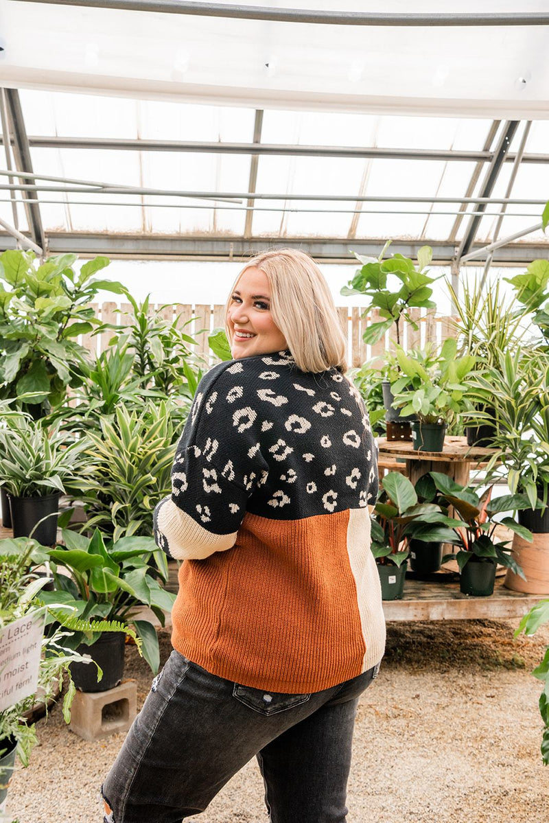 Pop Of Print Contrast Sweater