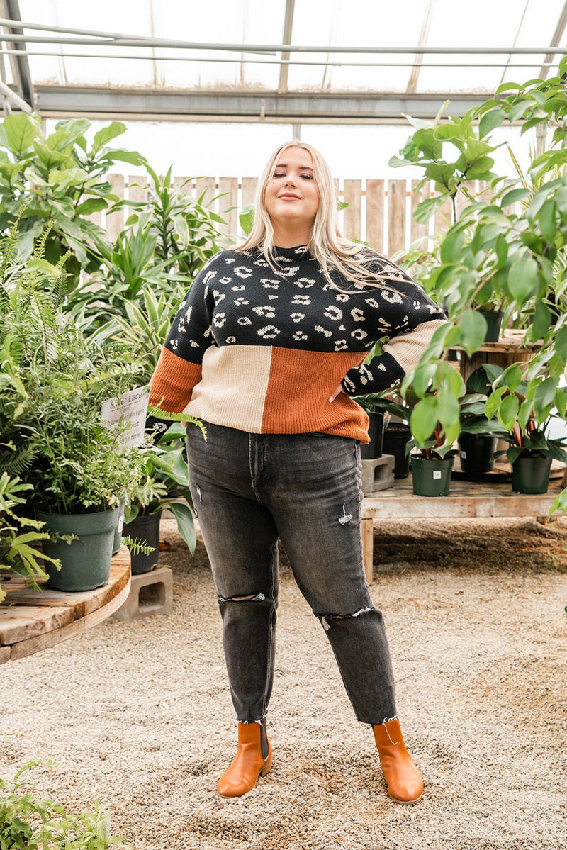 Pop Of Print Contrast Sweater