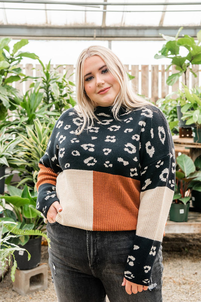 Pop Of Print Contrast Sweater