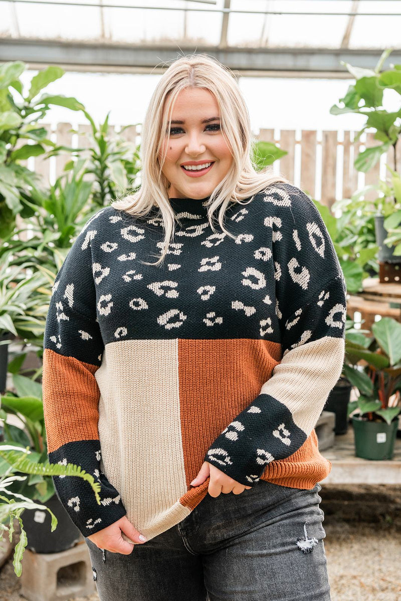 Pop Of Print Contrast Sweater