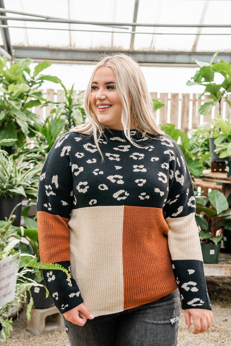 Pop Of Print Contrast Sweater