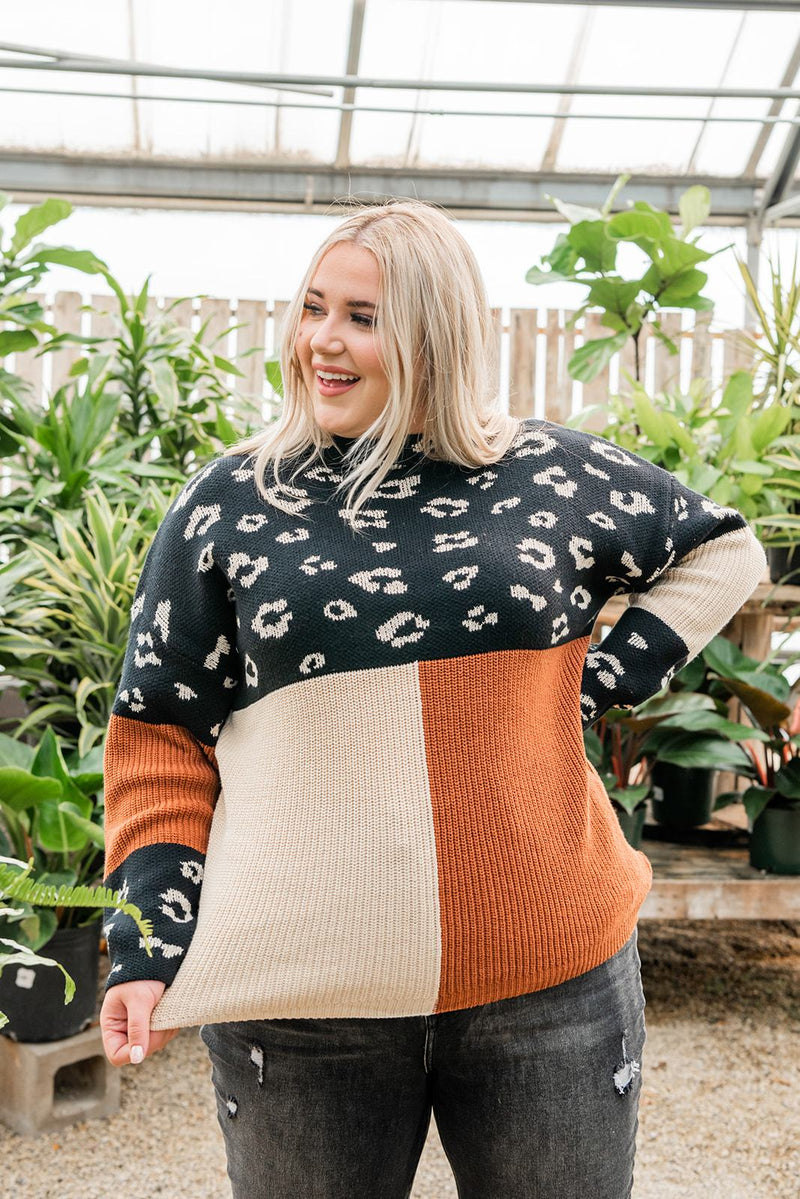 Pop Of Print Contrast Sweater