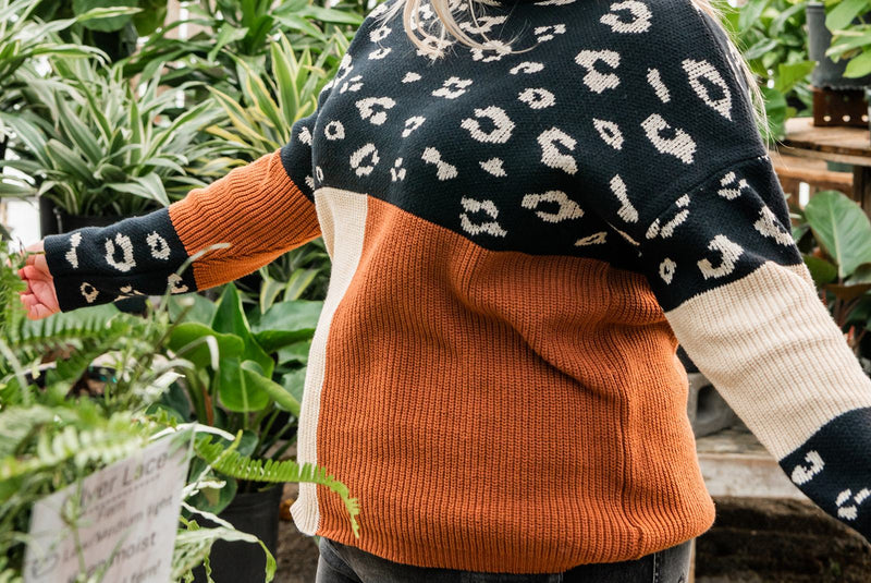 Pop Of Print Contrast Sweater