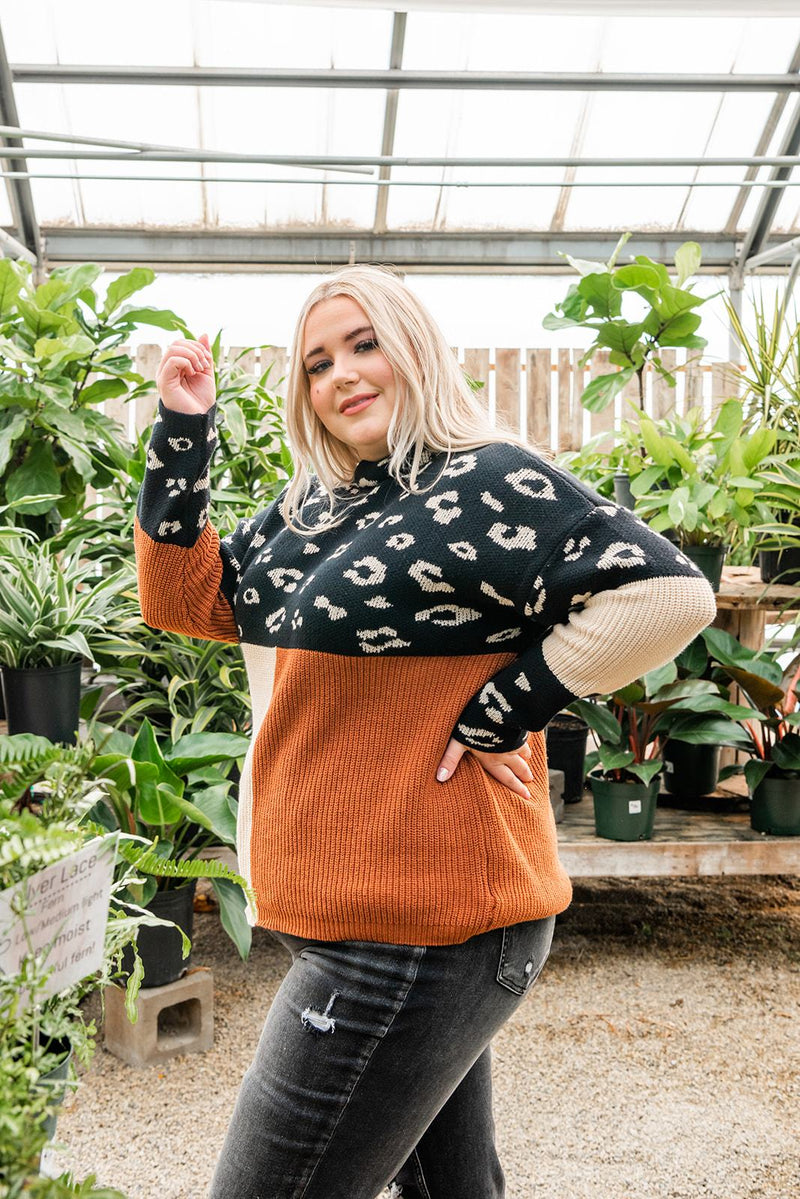Pop Of Print Contrast Sweater